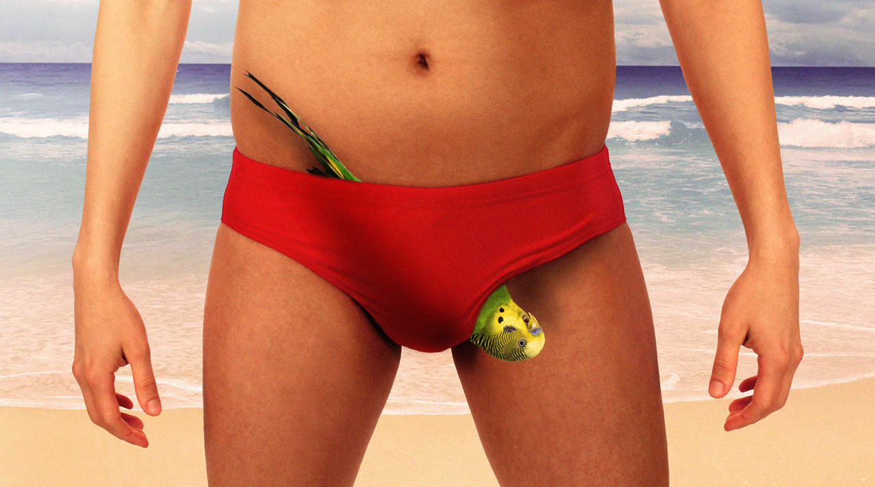 dads-don-t-do-budgie-smugglers-the-dad-website