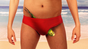 Dads Don’t Do Budgie Smugglers